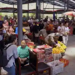 THE PEOPLE BEYOND THE CLOUD