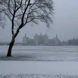 CHATEAU DE CHAMBORD WILDLIFE FOR ALL SEASON