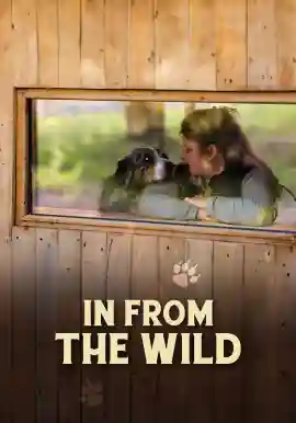 IN FROM THE WILD
