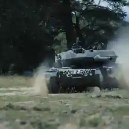 MAKE NESTS, NOT WAR: The Hidden Nature of Military Grounds