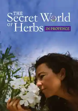 The Secret World of Herbs in Provence