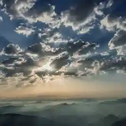 The Secret World of Herbs in Provence