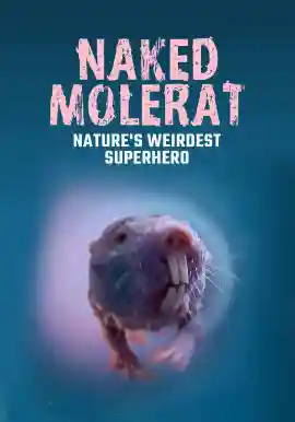 NAKED MOLERAT: Nature's Weirdest Superhero