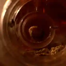 NAKED MOLERAT: Nature's Weirdest Superhero