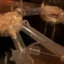 NAKED MOLERAT: Nature's Weirdest Superhero