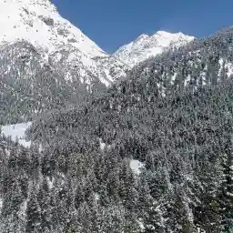 Wild Faces Of Switzerland Winter In The Swiss Alps