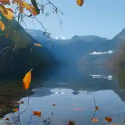 ECHOES OF THE ICE AGE