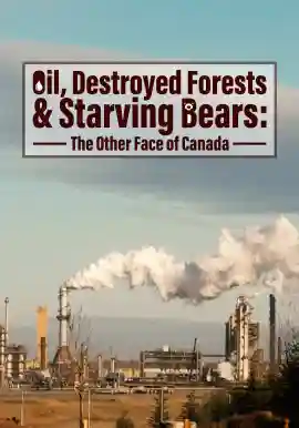 Oil, Destroyed Forests & Starving Bears The Other Face of Canada