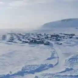 Oil, Destroyed Forests & Starving Bears The Other Face of Canada