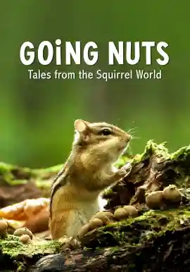 GOiNG NUTS Tales from the Squirrel World