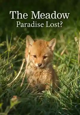 The Meadow Paradise Lost?