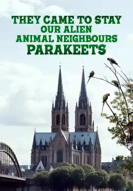 They Came to Stay Our Alien Animal Neighbours Parakeets