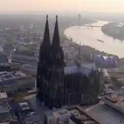 They Came to Stay Our Alien Animal Neighbours Parakeets