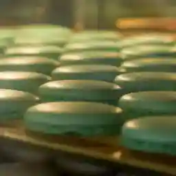 ISRAEL The North Sea and Stone