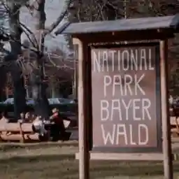 WILD HEART OF EUROPE The Return of an Ancient Forest