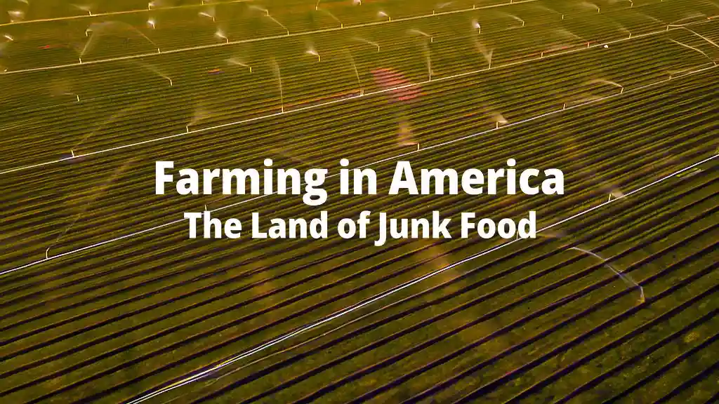 Farming in America The Land of Junk Food