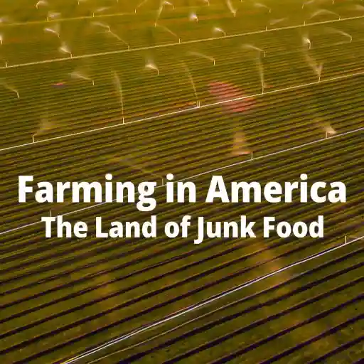 Farming in America The Land of Junk Food