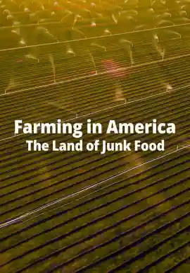 Farming in America The Land of Junk Food