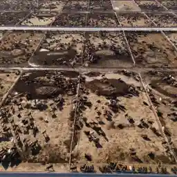 Farming in America The Land of Junk Food