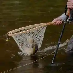 LAND OF LITTLE RIVERS