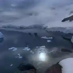 Antarctica Searching for Adaptation