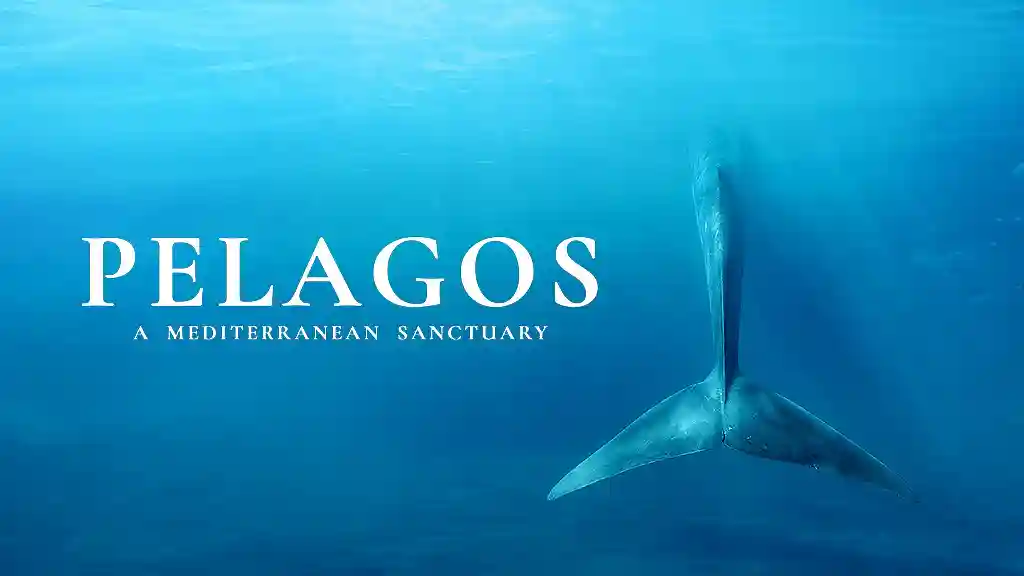 PELAGOS, A MEDITERRANEAN SANCTUARY