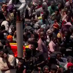 75 Years Fighting for Human Rights