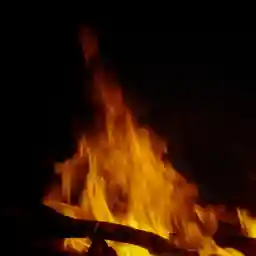 2026 Docubay Originals