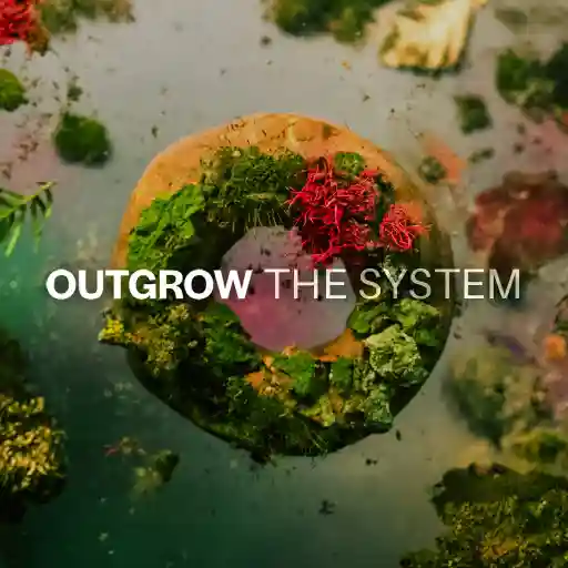 OUTGROW THE SYSTEM