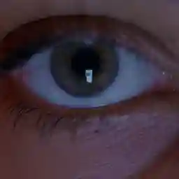 The Social Trap: The Big 5