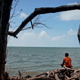 Climate Refugees: A Global Challenge